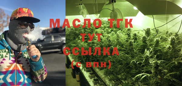 стафф Верхний Тагил