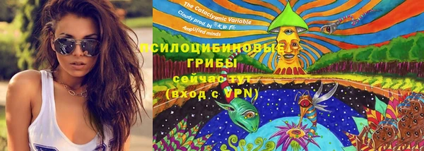 стафф Верхний Тагил